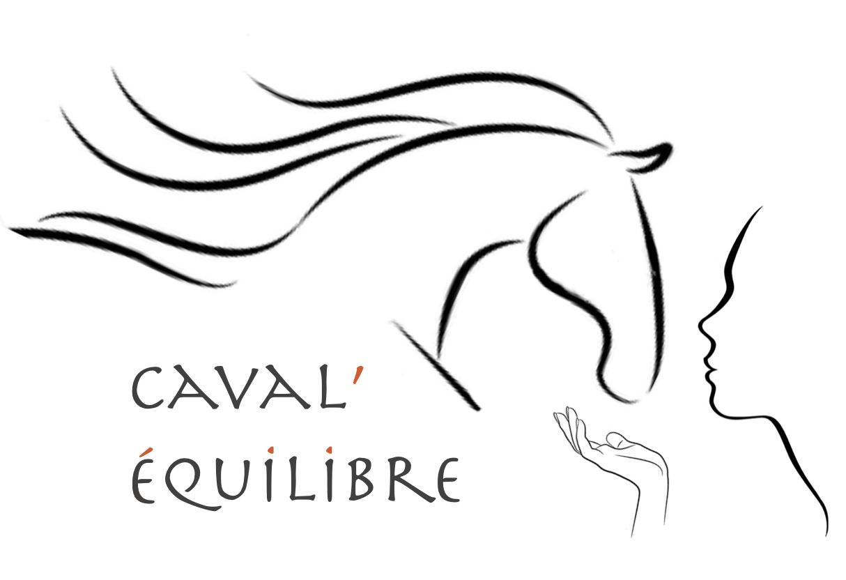 CavalEquiLibre - Soins énergétiques Reiki, équins et cavaliers
